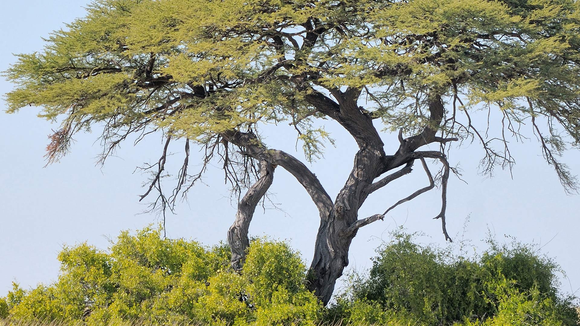 shutterstock_219068320